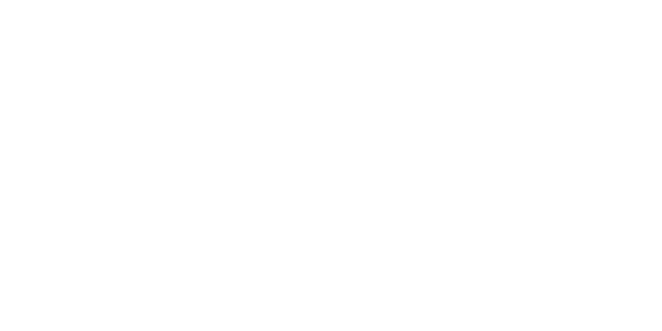 Bocini